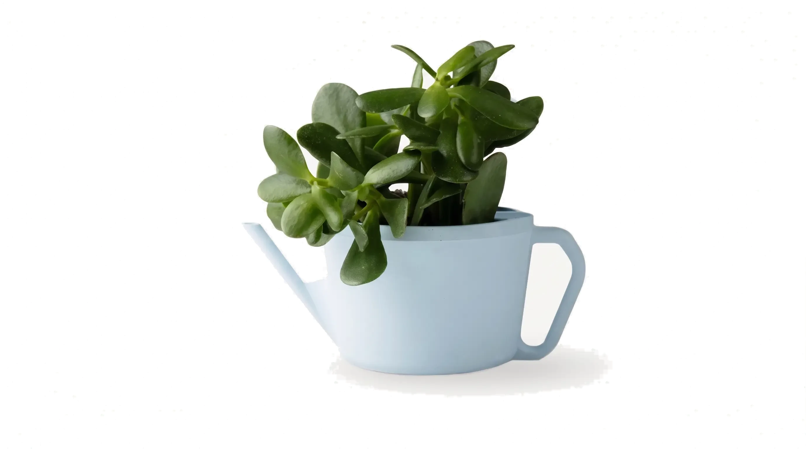 WAZP planter in the shape of a watering can